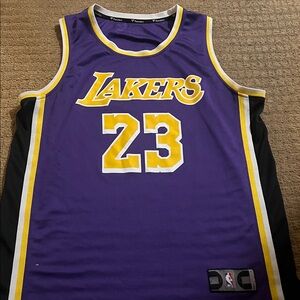 Fanatics Lakers Jersey in Purple and Yellow